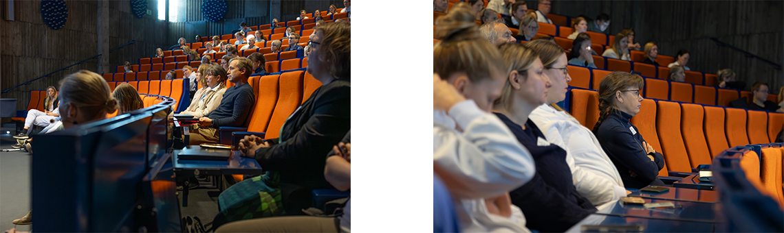 publik som sitter i en föreläsningssal